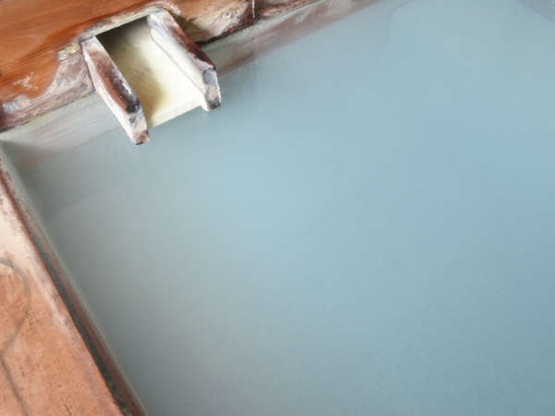 草津ホテル 別館 綿の湯 2
