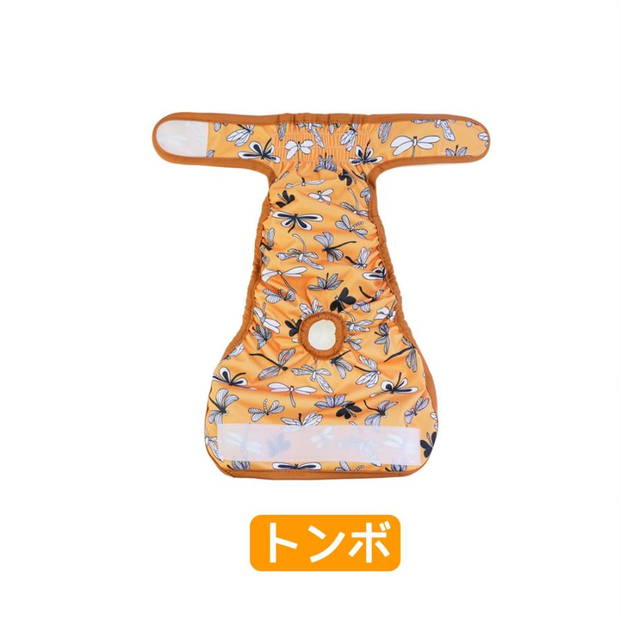 マナーパンツ 6