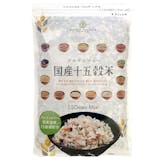 アマランサスのおすすめ人気ランキング【2026年9月】 4