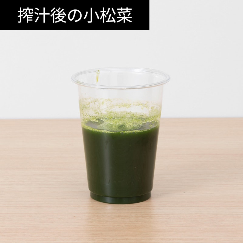 スロージューサー 12