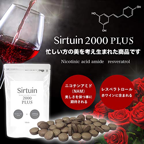 サーチュイン2000プラス 3