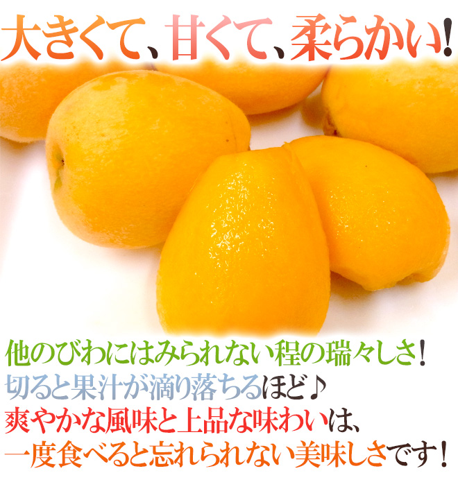 甘香 秀品びわ 5