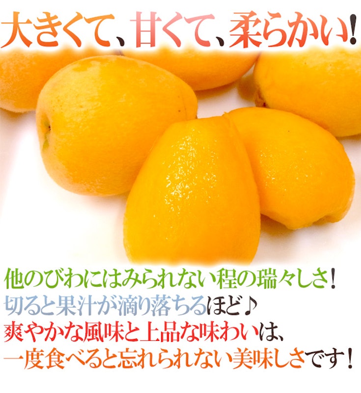 甘香 秀品びわ 5