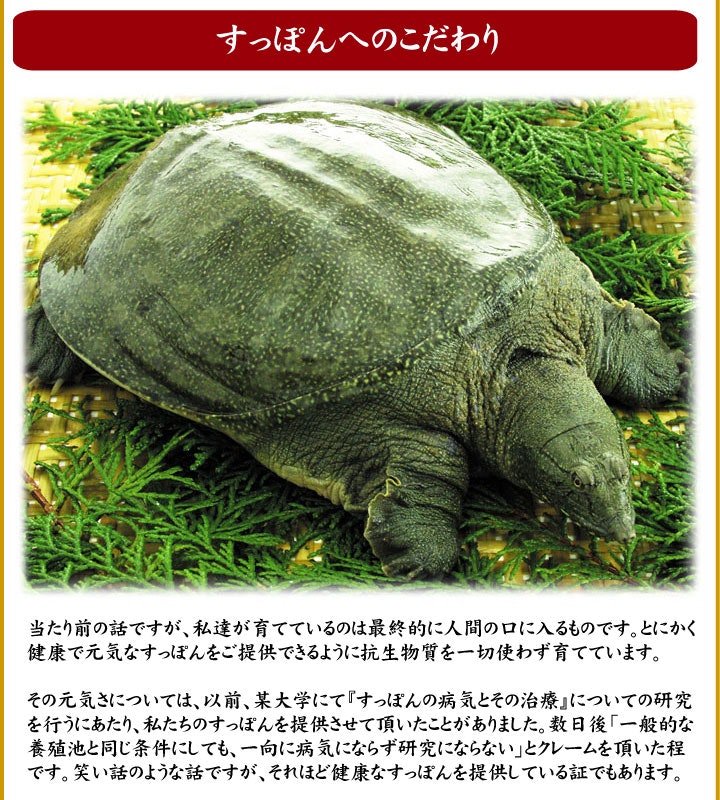 すっぽん鍋セット 4