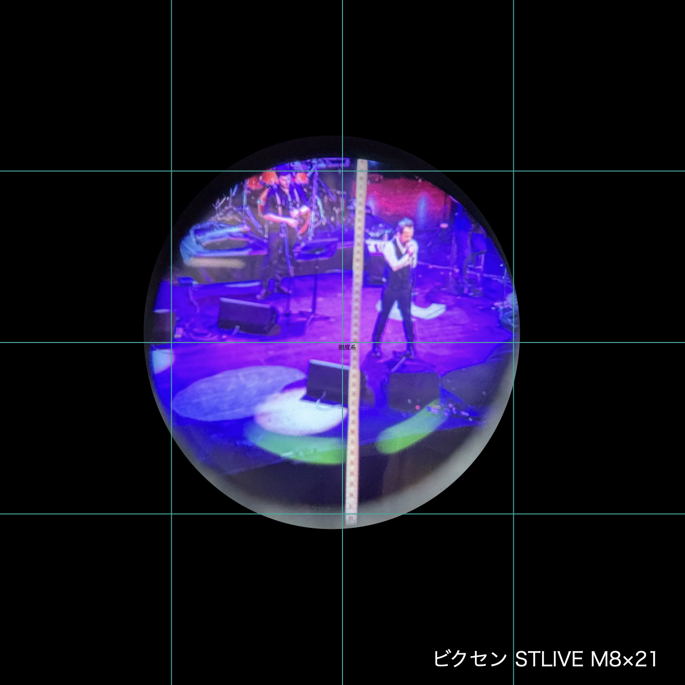 STLIVE MP8×21 7