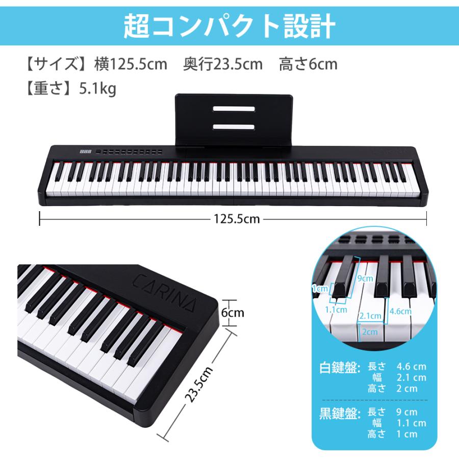 電子ピアノ カリーナ 10