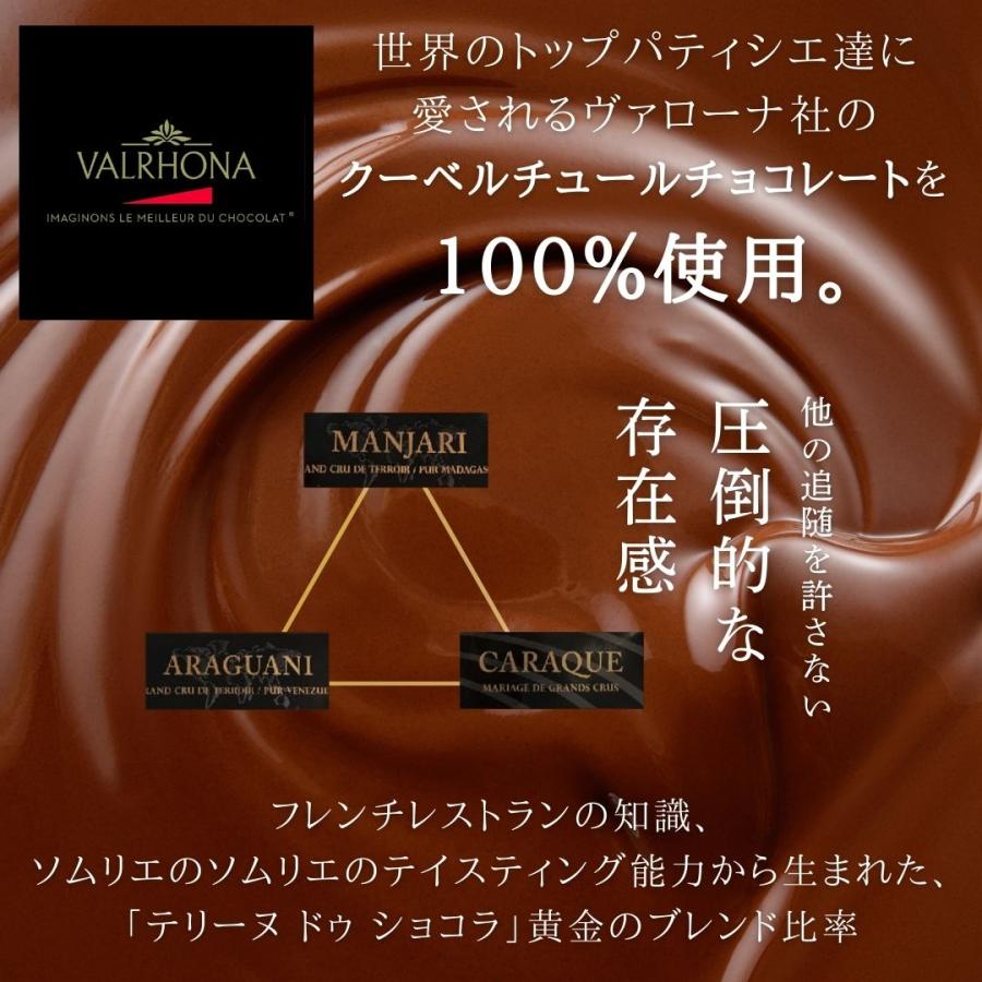  テリーヌドゥショコラ 3
