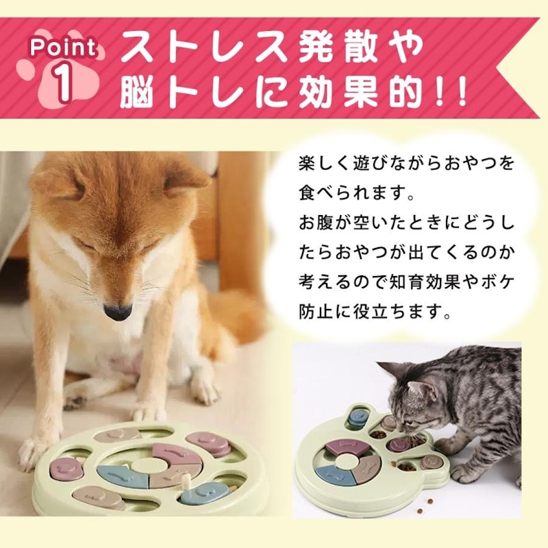 ノーズワーク 2