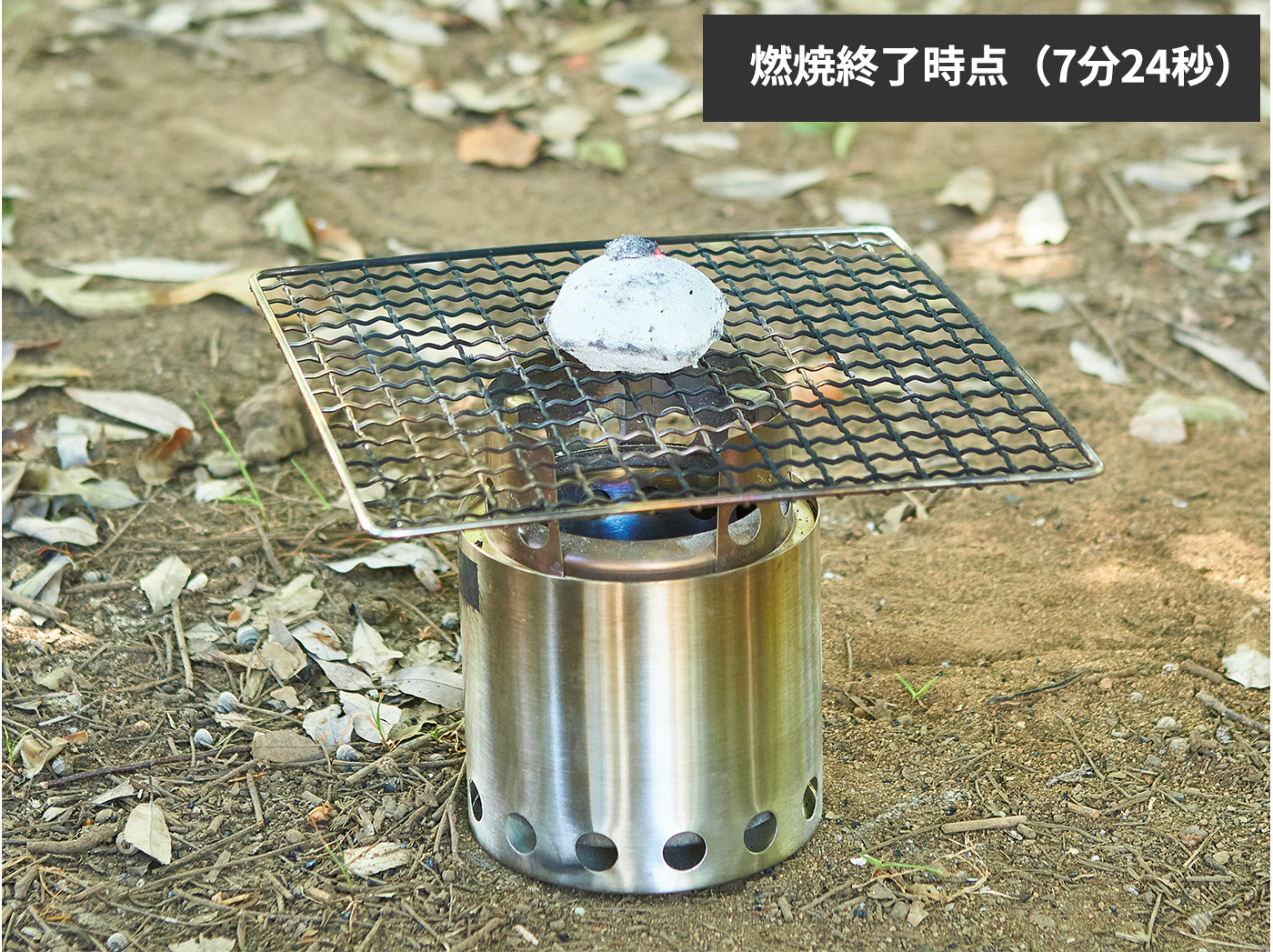 パック燃料 6