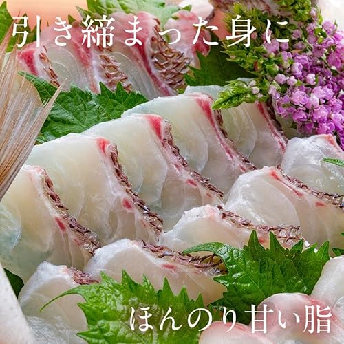 まだい 3