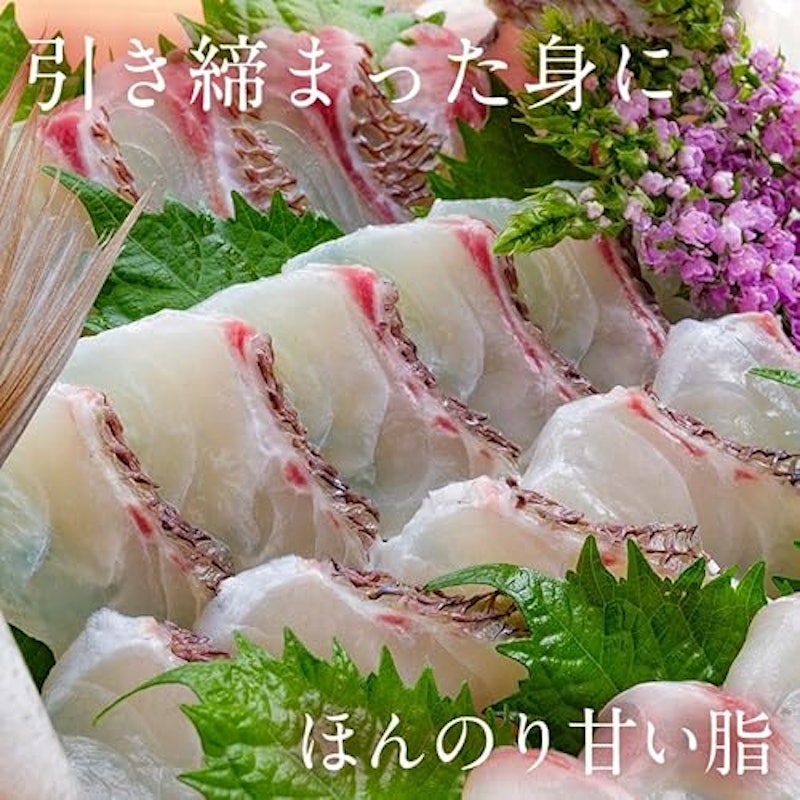 まだい 3