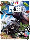 昆虫図鑑のおすすめ人気ランキング 2
