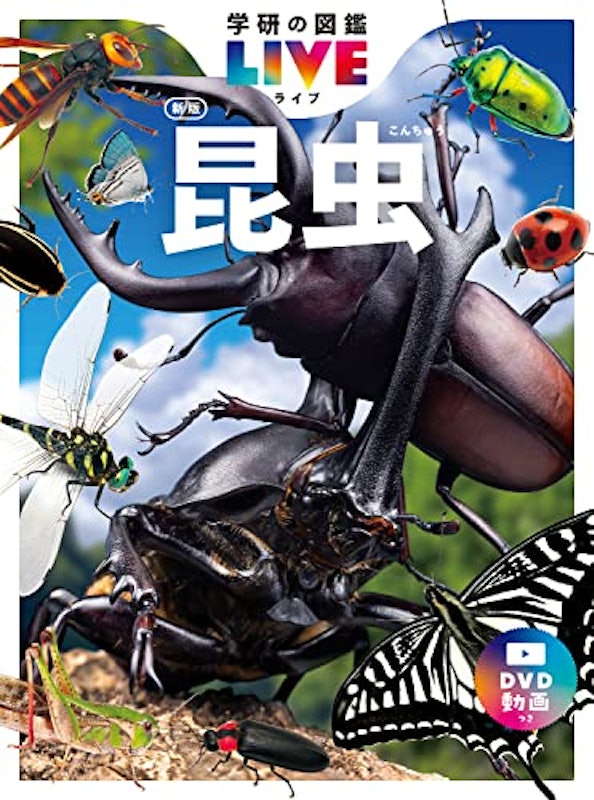 昆虫 新版 1