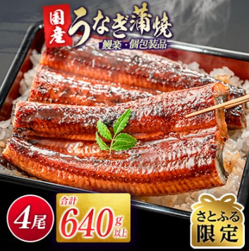 うなぎ蒲焼 1
