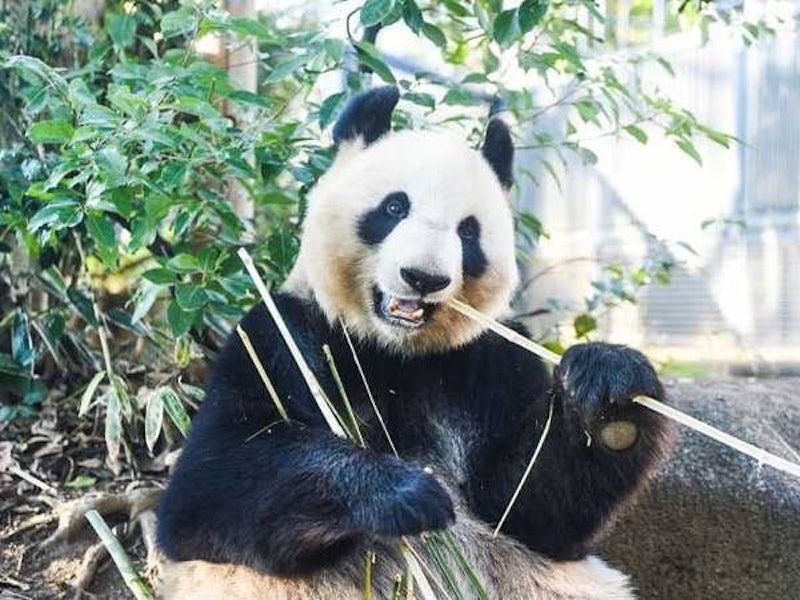 21年 子連れ 赤ちゃん連れ向け国内旅行先のおすすめ人気ランキング選 Mybest 21年 子連れ 赤ちゃん連れ向け国内旅行先のおすすめ人気ランキング選 Mybest