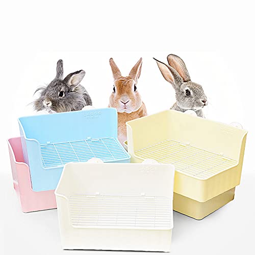 うさぎトイレ 4