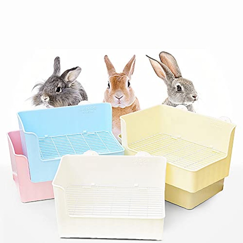 うさぎトイレ 4