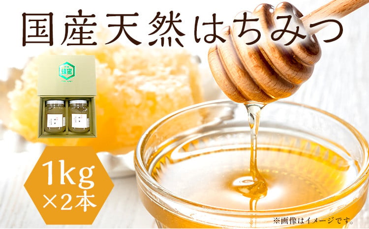 国産天然はちみつ  1