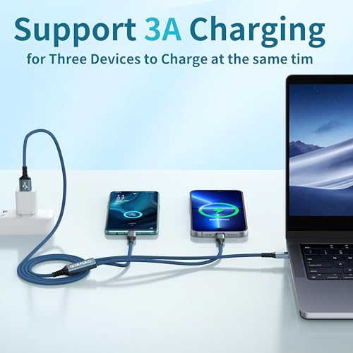 13本 Type-C2mローズ5、ブルー3、1mローズ3、ブルー2 仮面ライダーBLACK SUN ソフトケース付き！YAMAHA