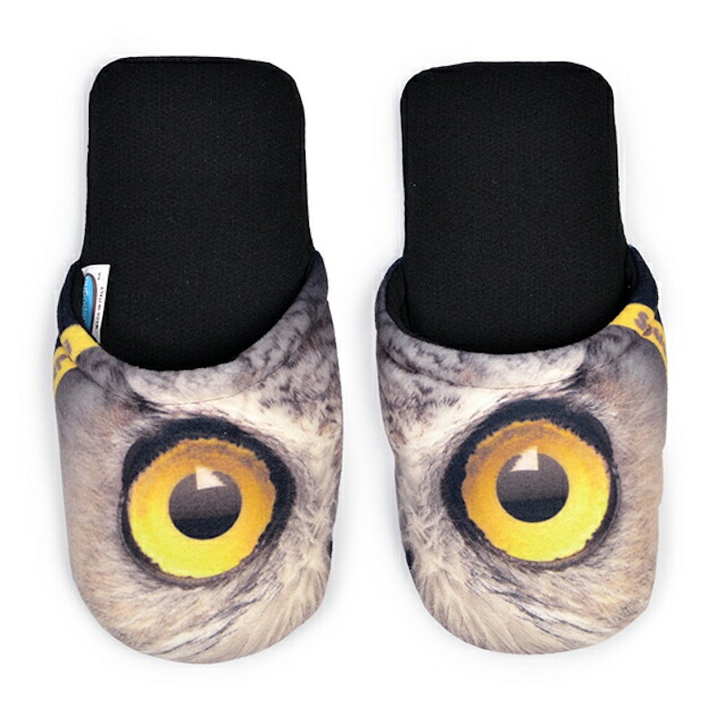 EYES OWL 1