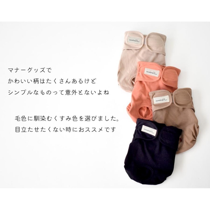 マナーパンツ 2
