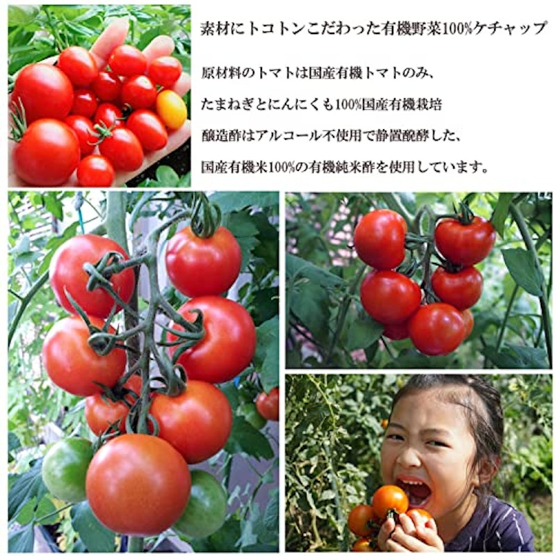 有機トマトケチャップ 2