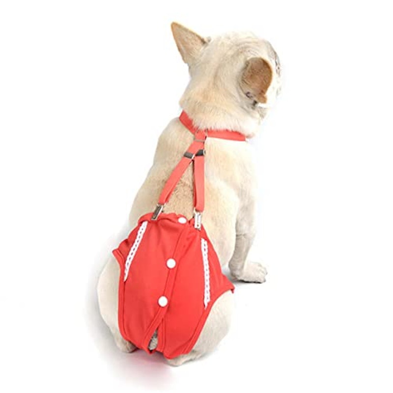 サスペンダー付き サニタリーパンツ 2