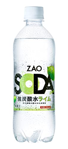 炭酸様専門ページ】 増やせ