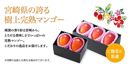 みやざき完熟マンゴー 赤秀 2