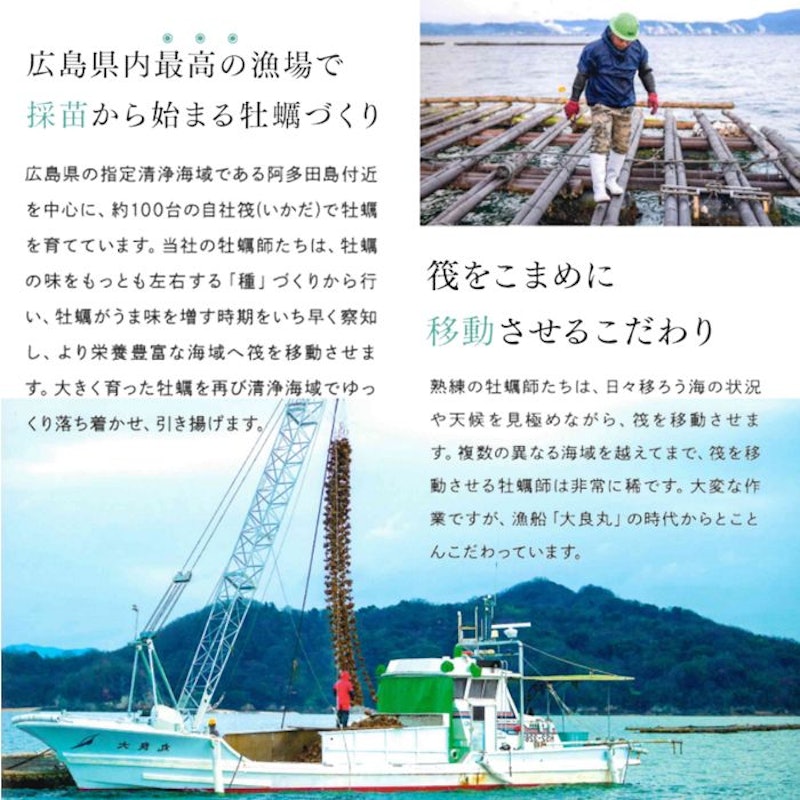 広島県産カキ 5