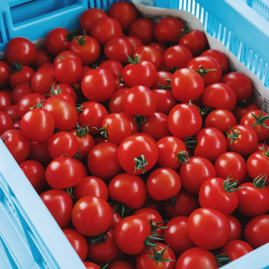 21年 お取り寄せトマトのおすすめ人気ランキング10選 Mybest