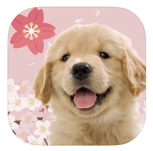 わんこと私 1