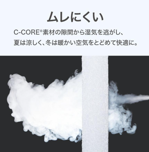 Nスリープ プラスエア 4
