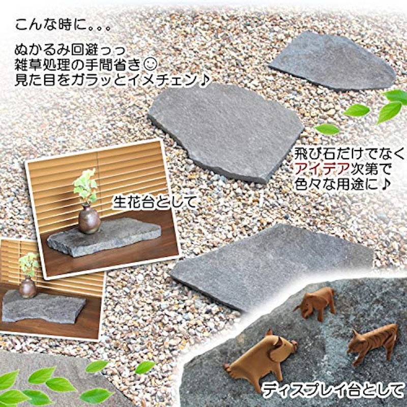諏訪鉄平 飛び石 4