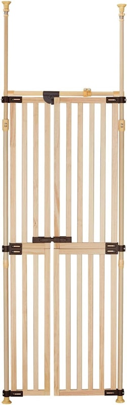 木の のぼれんニャン 1