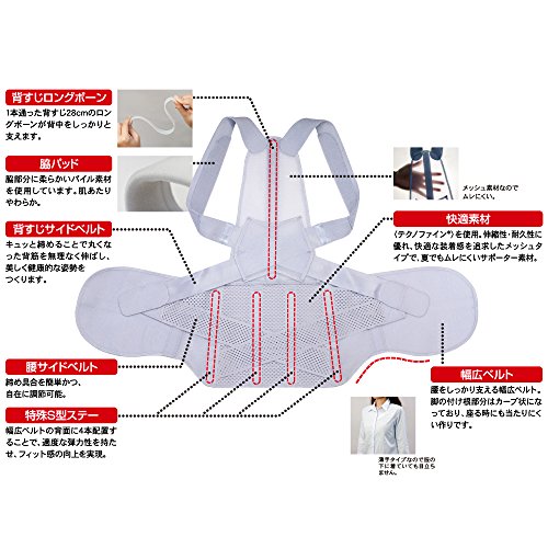 お医者さんの腰から正す姿勢ベルト 5