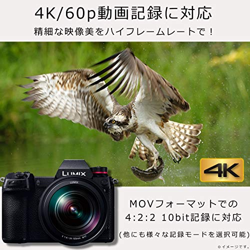 LUMIX DC-S1M 5