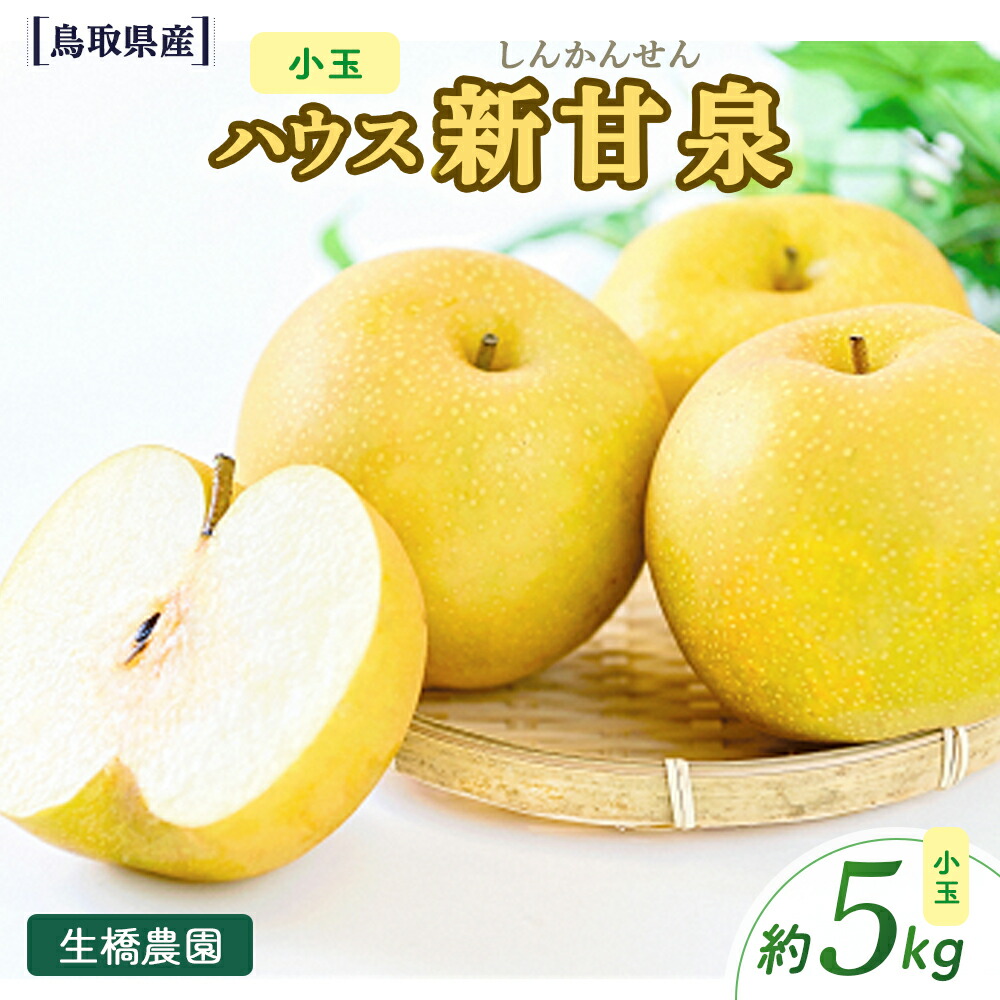 小玉 ハウス新甘泉 1