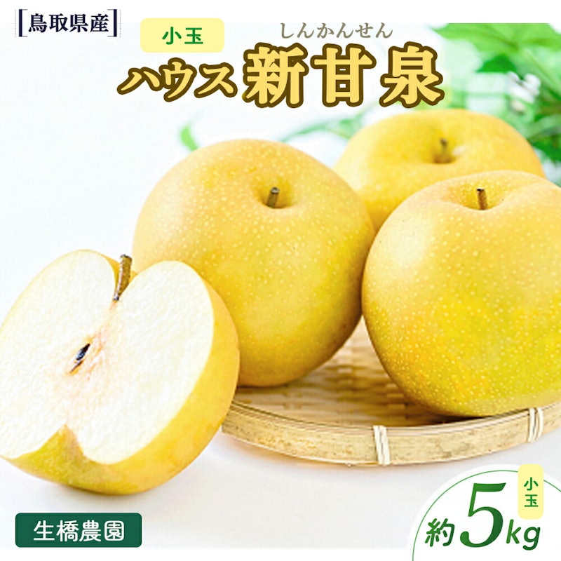小玉 ハウス新甘泉 1