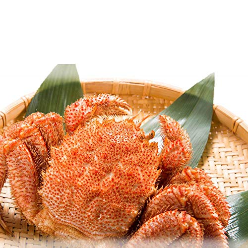毛蟹 1