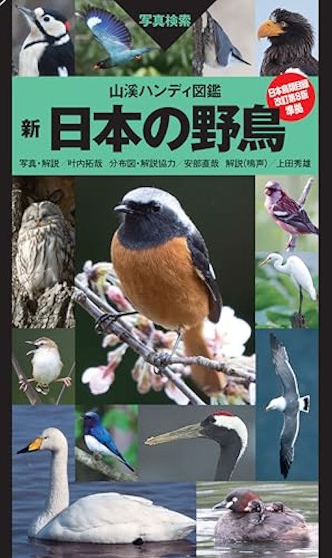 新 日本の野鳥 1