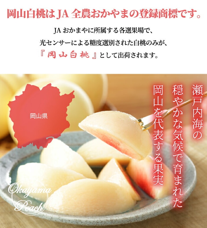 岡山白桃エース 3