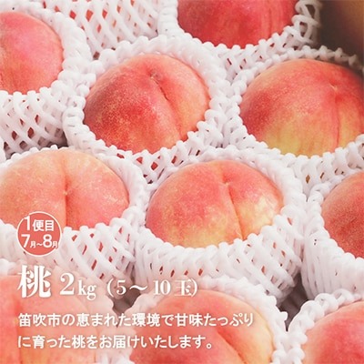山梨の美味しい果物 桃・巨峰・シャインマスカット全3回 2