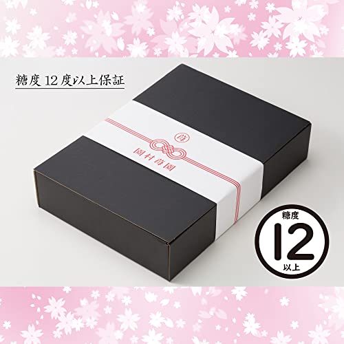 極幸乃香 4