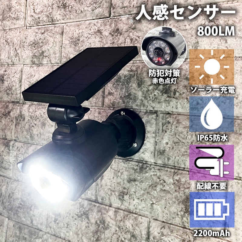 センサーライト 1