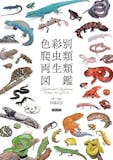 爬虫類図鑑のおすすめ人気ランキング 1