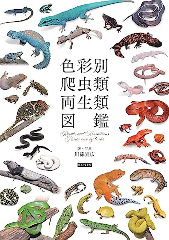 色彩別 爬虫類・両生類図鑑 1