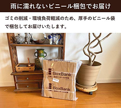 段ボール 5