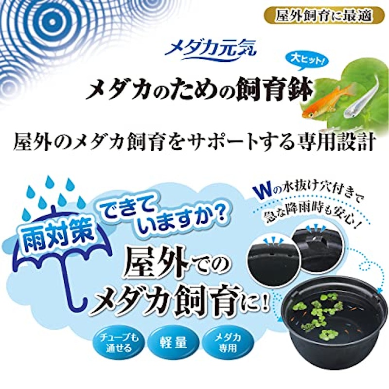メダカのための飼育鉢 4