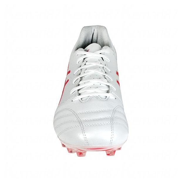DS LIGHT PRO AG 6